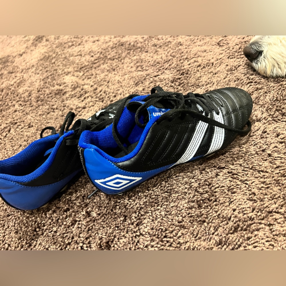 Umbro boys cleats